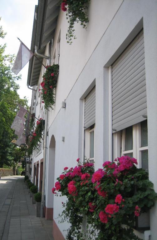 Hotel Wappenstube Erbach (Odenwaldkreis) Exterior foto